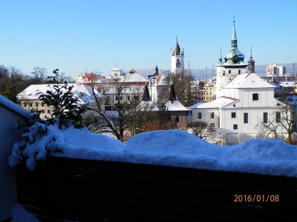 Hotel U Kozicky Teplice Buitenkant foto